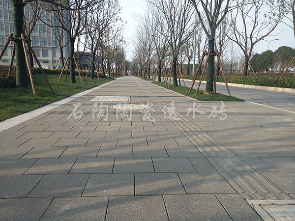 【上海滴水湖环湖公园】陶瓷透水砖项目工程